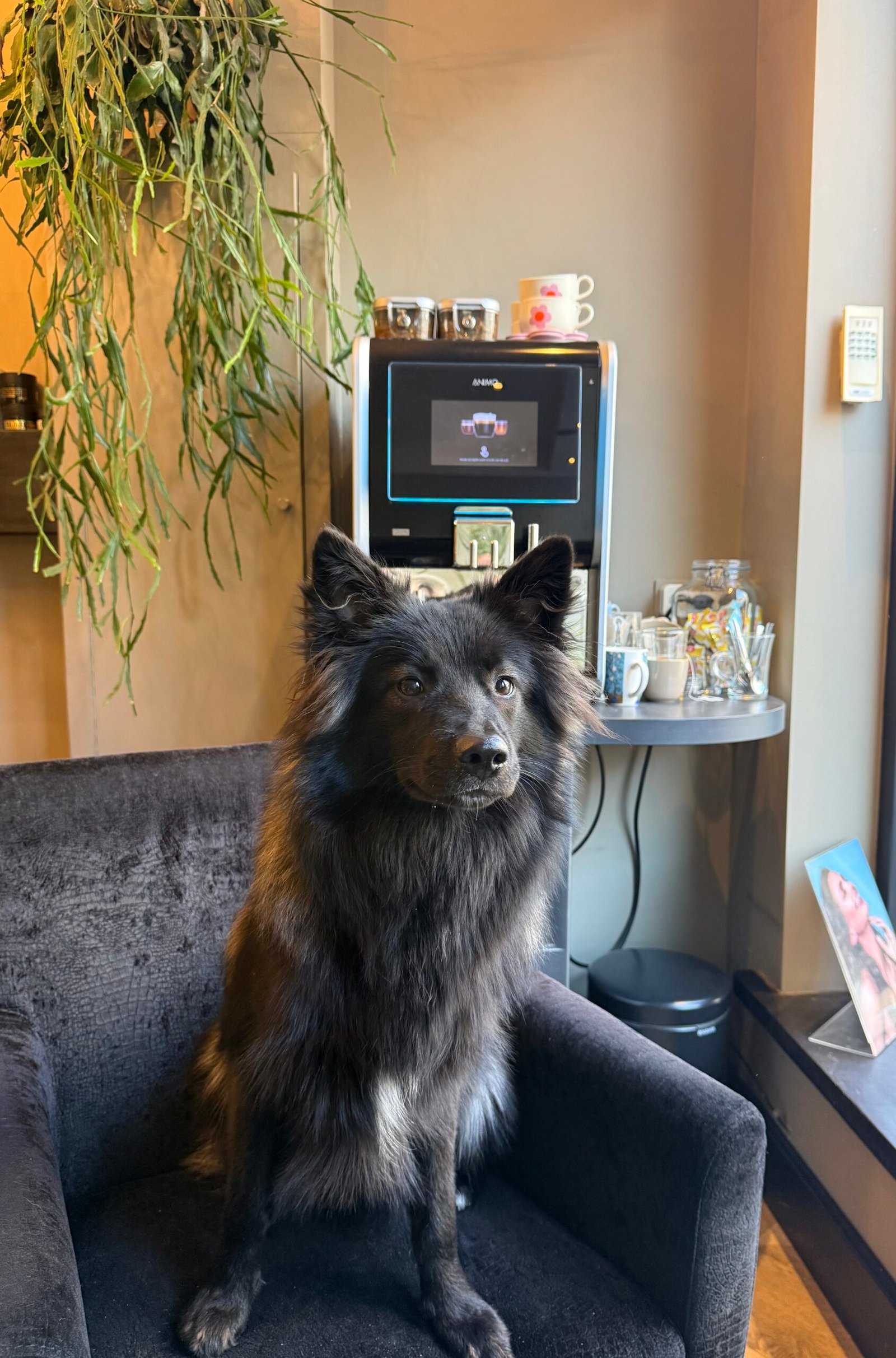 Haarstyling en kleur